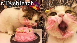 r/Eyebleach | THIS CAKE SO GOOD