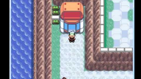 How To Put Gameshark Codes in Pokemon Emerald