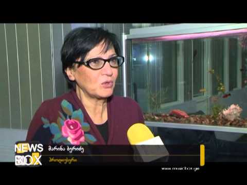 მარინა ბერიძე VS მუსიკალური პროექტები