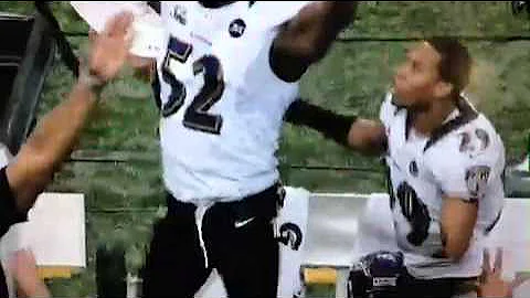 Ray Lewis Jacoby Jones