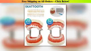 32 Teeth Dental Teaching Model Soft Gum Resin Typodont Teeth Model for Dentist Practice Studying To screenshot 3