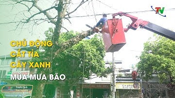 Chủ động cắt tỉa cây xanh mùa mưa bão | Thái Nguyên TV