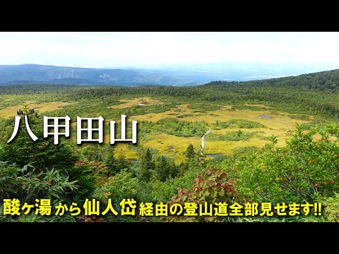 【登山体験】八甲田山、強風と寒さに耐えて登ってきました!/酸ヶ湯から仙人岱経由の登山道全部見せます!/2022/09