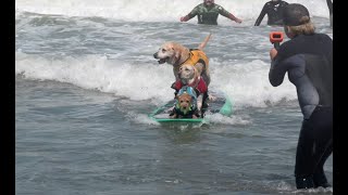 WORLD DOG SURFING CONTEST Highlights