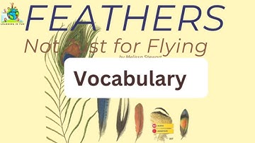 FEATHERS  Vocabulary / Unit 2 Lesson 1/  myView literacy Grade 4