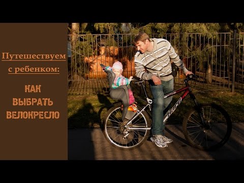 Велокресло. Какое купить, как выбрать. Велокресло. Какое купить, как выбрать.