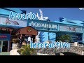 Acuario Interactivo, Plaza La Isla Cancun