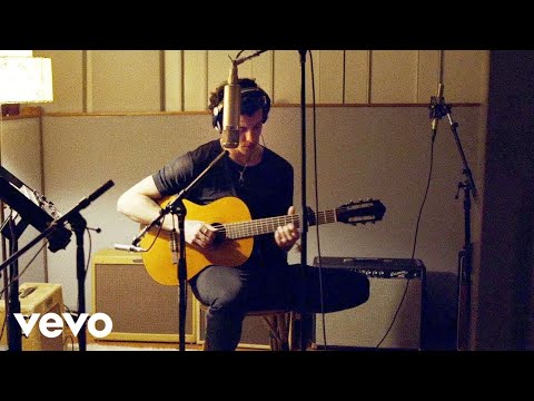 Shawn Mendes - Cant Imagine