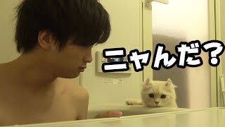 猫と一緒にお風呂入ってみた