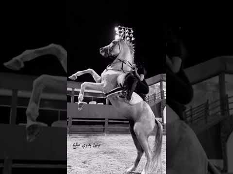 يافتان طال البعد شيلات تصميمي