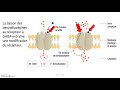 Traitement mdicamenteux du stress  benzodiazpine antidpresseur  anxiolytique et gaba vido7