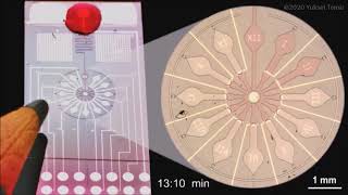 World's smallest liquid "clock" - programmable liquid circuits