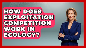 How Does Exploitation Competition Work In Ecology? - Explaining Ecology