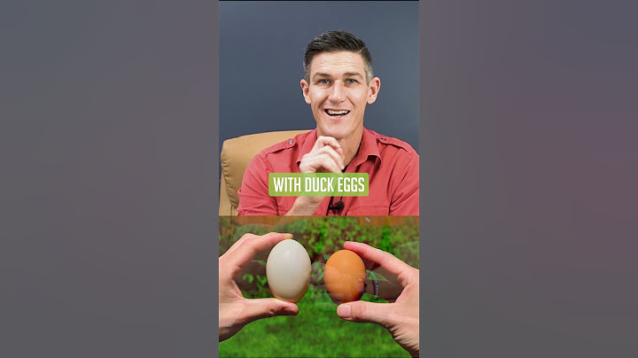 Eat Duck Eggs Every Day | Chicken Eggs vs Duck Eggs | Are Duck Eggs Better