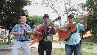 Azucena Linda. Acompañando a Brisas del Sur en Ibagué #guacharaquiando