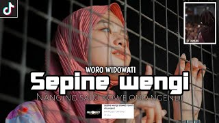 Dj sepine wengi woro widowati slowed and reverb viral tiktok kane.dj viral fyp tiktok nh project