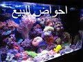 احواض بحرية للبيع . بغداد . سعد البحار