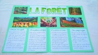 projet de classe la forêt