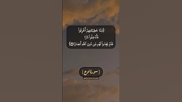 سورة نوح الآية ٢٥ بصوت الشيخ محمد صديق المنشاوي