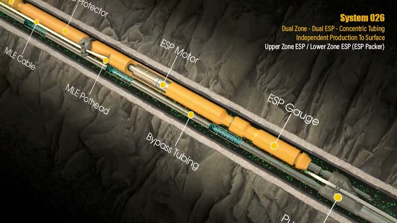 System 026 - Dual Zone - Dual ESP - Concentric Tubing - Independent Production To Surface