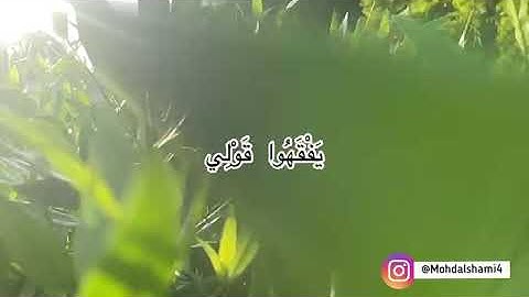 تلاوة هادئة من روائع تلاوات القارئ محمد الشامي #مقطع من سورة طه #رمضان