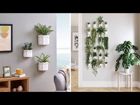 Elevate Your Living Room with Unique Wall Plant Decor Ideas - YouTube