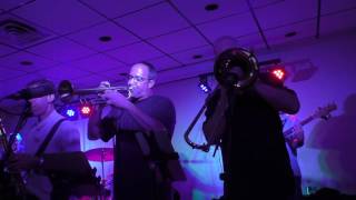 Blitz Dynette LIVE.  "I Want to Ta Ta You Baby" Mr. D. Burdman Video.