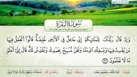 سورة البقرة | من الآية 26 إلى 43 | القارئ الشيخ غسان محمود الشوربجي