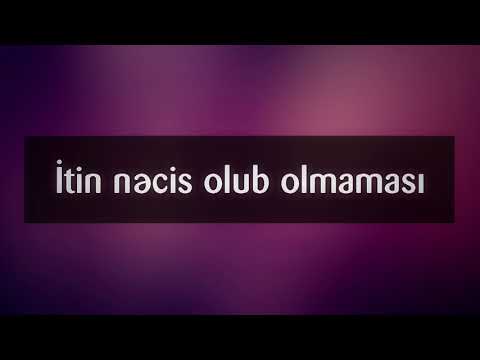 Video: İtin Olması Ilin Hansı Vaxtında Daha Yaxşıdır?