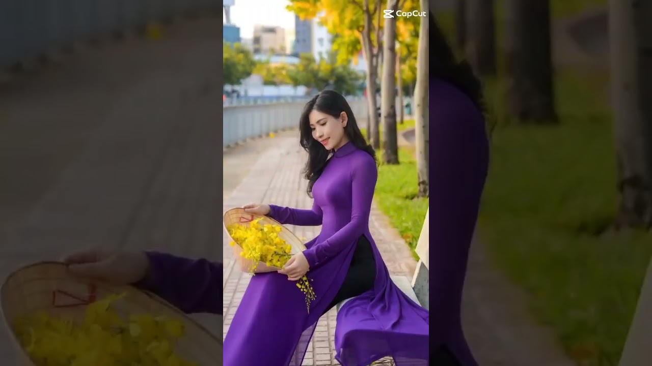 Vietnam girls traditional dress / Vietnam girls 