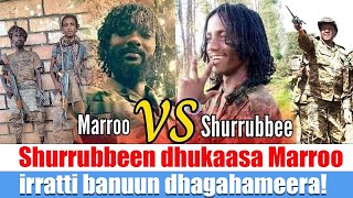 Shurrubbeen dhukaasa Marroo irratti banuun dhagahameera!