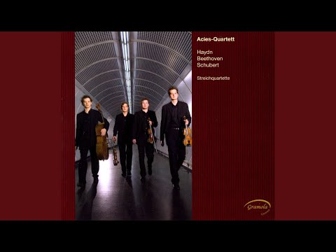 String Quartet No. 12 in C Minor, D. 703 "Quartettsatz": String Quartet No. 12 in C Minor, D....