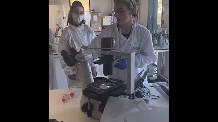 🧪🧫 Future of Science student conference 2022 🥼🧬🔬