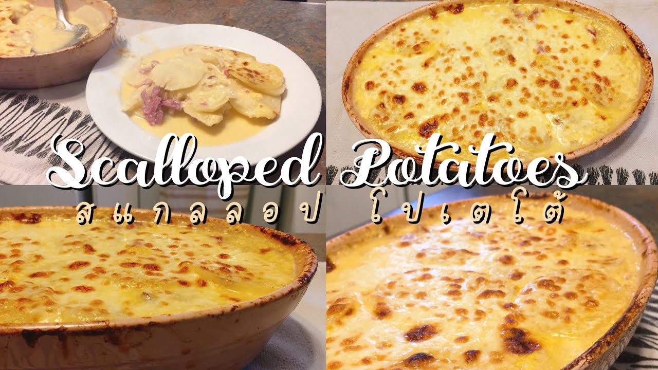 Scalloped Potatoes สแกลลอป โปเตโต้ อาหารฝรั่งง่ายๆ ♡︎ เชฟจิลเลย์ | 𝓜𝓲𝓼𝓼  𝓢𝓾𝓴𝓼𝓲𝓻𝓲 - Youtube