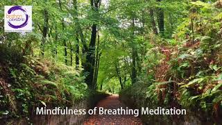 Breath Awareness Guided Practice | Angie Chew