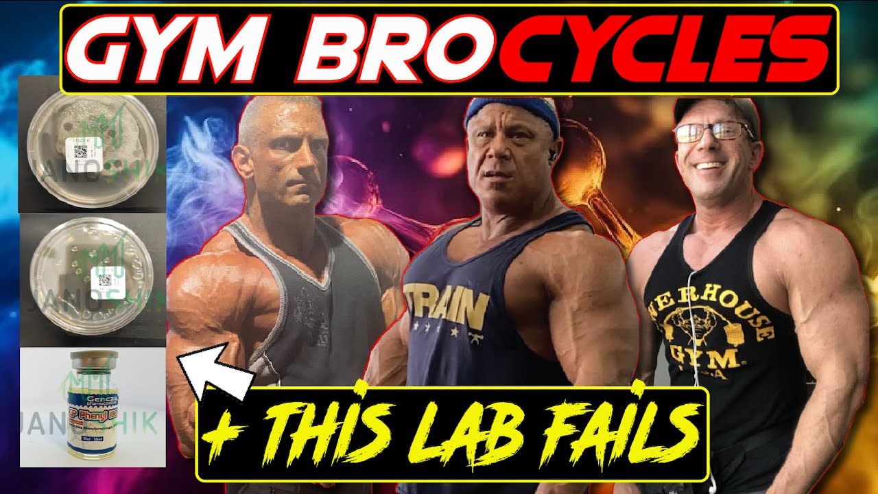 Gym Bro Steroid Cycles: How Doses Change for Bulks vs Cuts (Plus a Gear ...