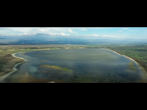 კუმისის ტბის პრობლემა გადაცემაში \"რეალური სივრცე\"