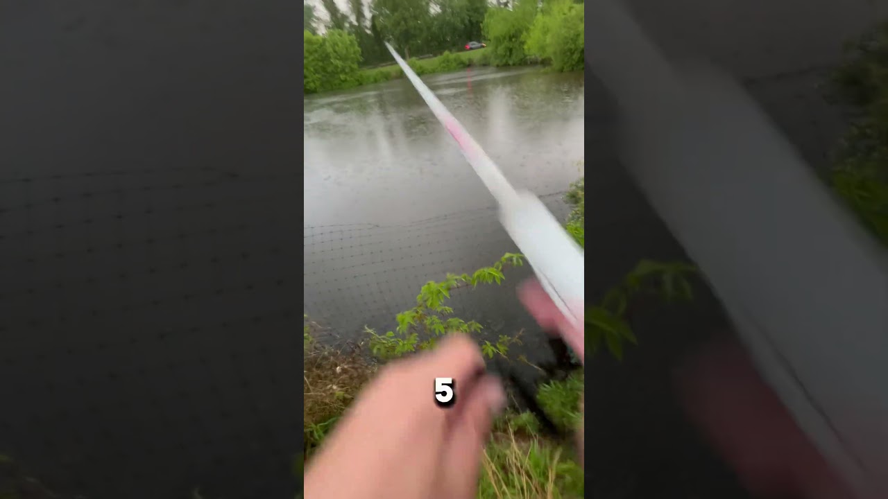 Thank you for all the support! 