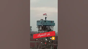 شاهد غيه الحمام في مصر 