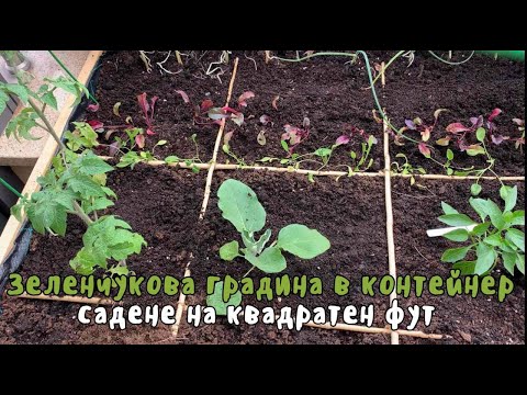 Видео: Зеленчукова градина в контейнери