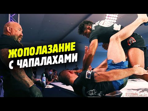 ГРЭППЛИНГ С УДАРАМИ ПО ЛИЦУ😂 Combat jiu-jitsu - чё придумал Эдди Браво?! Обзор от Яниса