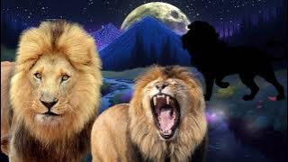 lions roar sounds, lion roaring sounds, lioness roar, lion sound, crickets sounds