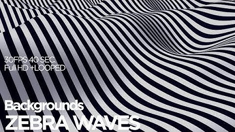 Zebra Waves Background | Motion Graphics - Videohive template