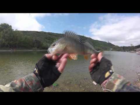 მეორე სარეიტინგო ტურნირი კუს ტბა 2016