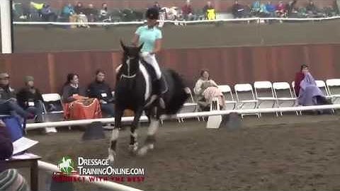 Dressage With Debbie McDonald & Janet Foy - Level 2 - 3