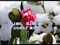 『新曲』雪散華~ゆきさんげ~/石原詢子 ♪柴田良子