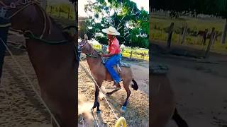 DOMADOR VICTOR! A DOMA RAIZ DO PARÁ IMPRESSIONA! 🔥🐴