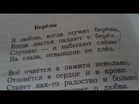 Березы стихотворение николая рубцова. Стих Рубцова березы. Стихотворение берёзы рубцов. Стих Николая Рубцова березы. Рубцов береза 4 класс стихотворение.