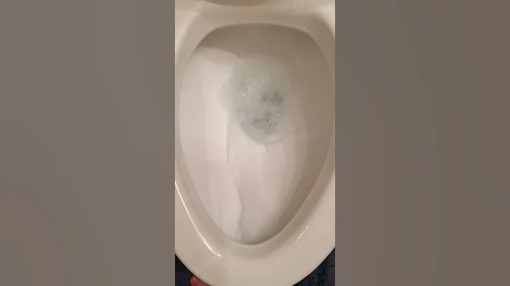 Bad Flushing Toilet