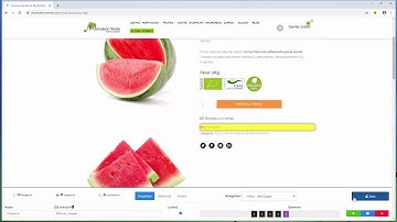 Extract Data from Multiple Levels of Categories within an eCommerce Site